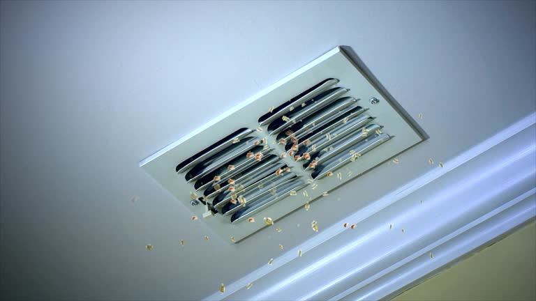 Best Emergency Air Duct Cleaning  in Slater, MO