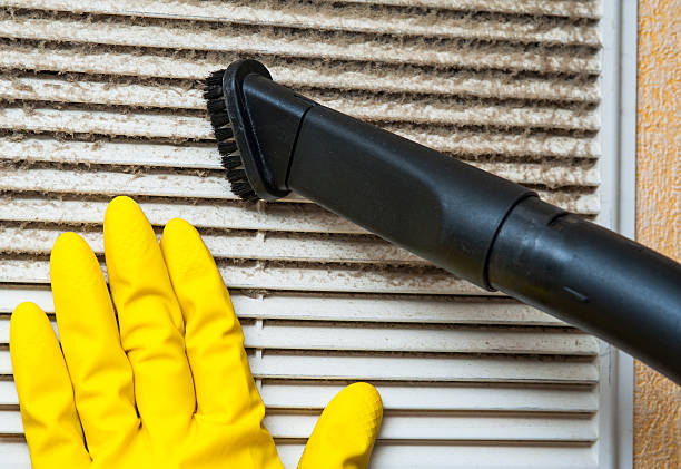 Air Duct Mold Removal in Slater, MO